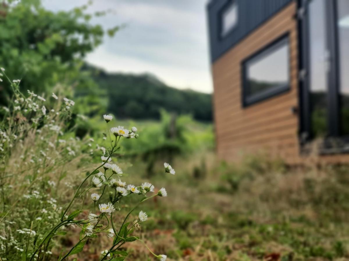 Ferienwohnung Pop Tiny House Balaton Kaptalantoti Exterior foto